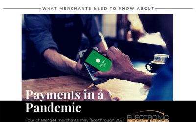 Payments in a Pandemic